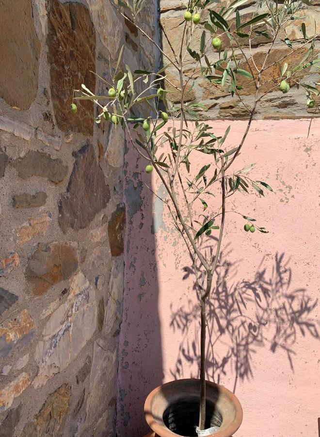 Lithos Homes Volissos エクステリア 写真